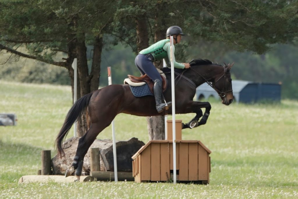 River Birch Farm Horse Farm in Jasper, GA