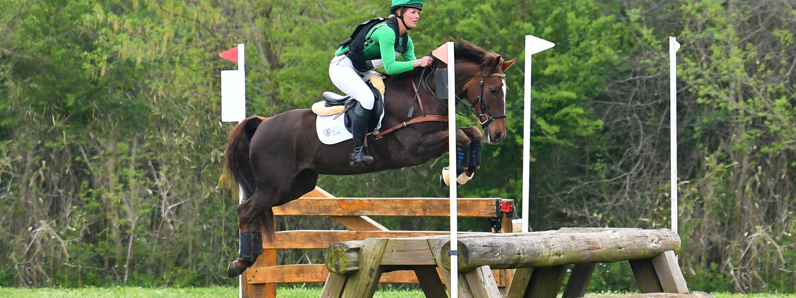 River Birch Farm Horse Farm in Jasper, GA