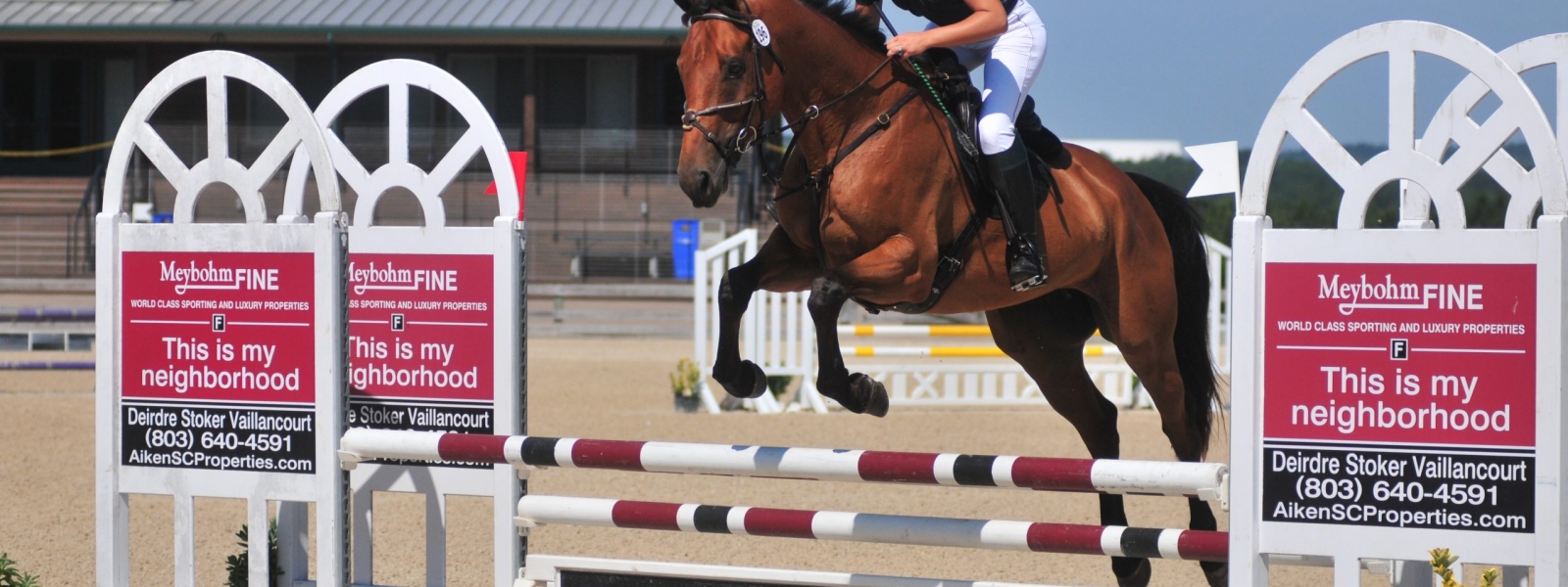 River Birch Farm Horse Farm in Jasper, GA