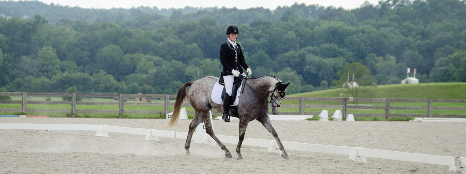 River Birch Farm Horse Farm in Jasper, GA