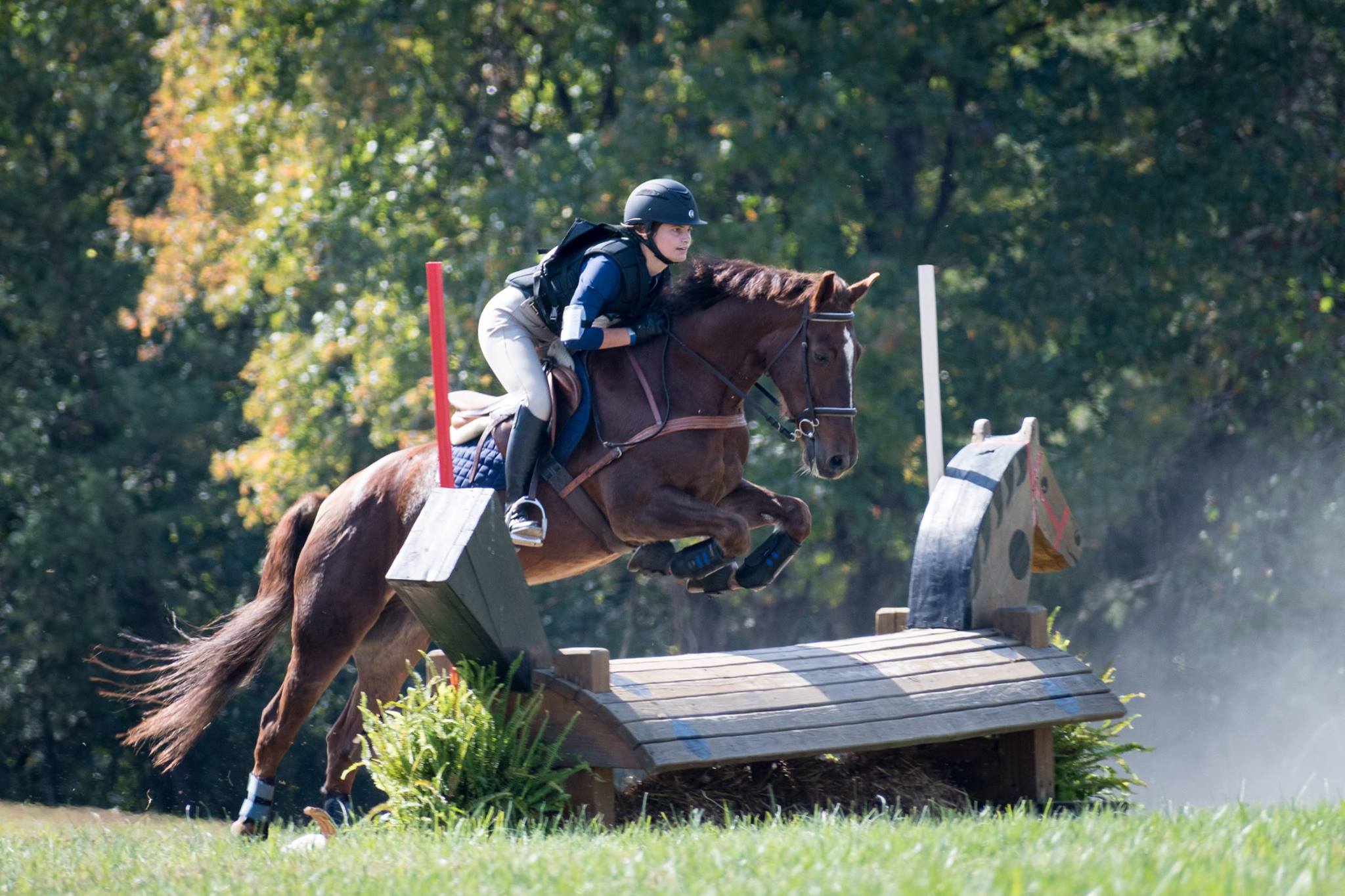 22829863_10100802755498623_5575024005744461614_o